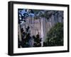 Angel Falls, Canaima National Park, Venezuela, South America-Charles Bowman-Framed Premium Photographic Print