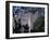 Angel Falls, Canaima National Park, Venezuela, South America-Charles Bowman-Framed Photographic Print