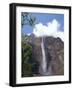 Angel Falls, Canaima National Park, Venezuela, South America-Charles Bowman-Framed Photographic Print