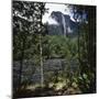 Angel Falls Orinoco Basin Canaima National Park Venezuela-null-Mounted Photographic Print