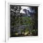 Angel Falls Orinoco Basin Canaima National Park Venezuela-null-Framed Photographic Print