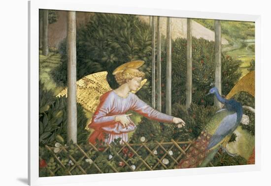 Angel Feeding a Peacock, Detail from the Journey of the Magi Cycle in the Chapel, c. 1460-Benozzo di Lese di Sandro Gozzoli-Framed Giclee Print