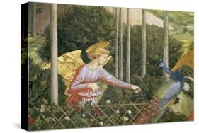 Angel Feeding a Peacock, Detail from the Journey of the Magi Cycle in the Chapel, c. 1460-Benozzo di Lese di Sandro Gozzoli-Stretched Canvas