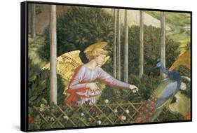 Angel Feeding a Peacock, Detail from the Journey of the Magi Cycle in the Chapel, c. 1460-Benozzo di Lese di Sandro Gozzoli-Framed Stretched Canvas