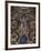 Angel Figure and Nature Motifs-null-Framed Photographic Print