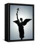 Angel Figure Independence Monument, Tallinn, Estonia-Christian Kober-Framed Stretched Canvas