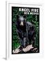 Angel Fire, New Mexico - Black Bear - Scratchboard-Lantern Press-Framed Art Print