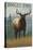 Angel Fire, New Mexico - Elk Scene-Lantern Press-Stretched Canvas