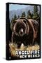 Angel Fire, New Mexico - Grizzly Bear - Scratchboard-Lantern Press-Stretched Canvas