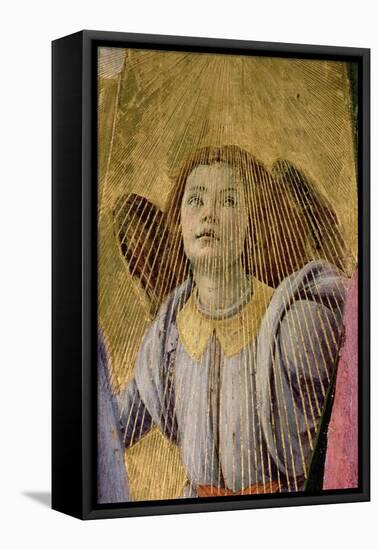 Angel, from the "Coronation of the Virgin," circa 1488-90 (Detail)-Sandro Botticelli-Framed Stretched Canvas