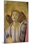 Angel, from the "Coronation of the Virgin," circa 1488-90 (Detail)-Sandro Botticelli-Mounted Giclee Print
