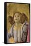 Angel, from the "Coronation of the Virgin," circa 1488-90 (Detail)-Sandro Botticelli-Framed Stretched Canvas