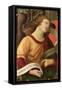 Angel, from the Polyptych of St. Nicolas of Tolentino, 1501-Raphael-Framed Stretched Canvas