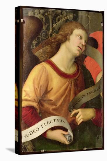 Angel, from the Polyptych of St. Nicolas of Tolentino, 1501-Raphael-Stretched Canvas