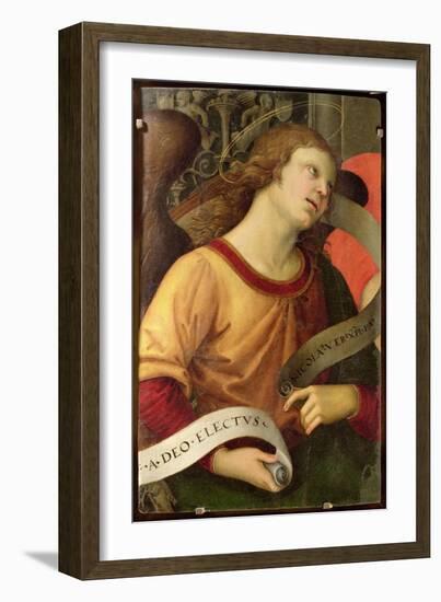 Angel, from the Polyptych of St. Nicolas of Tolentino, 1501-Raphael-Framed Giclee Print