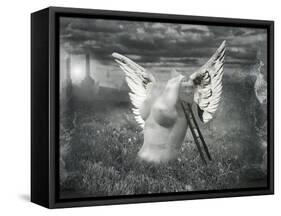 Angel In Pollution-ValentinaPhotos-Framed Stretched Canvas