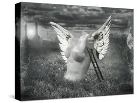 Angel In Pollution-ValentinaPhotos-Stretched Canvas