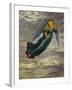Angel in the Clouds-Edgar Jerins-Framed Giclee Print