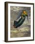 Angel in the Clouds-Edgar Jerins-Framed Giclee Print