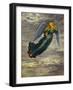 Angel in the Clouds-Edgar Jerins-Framed Giclee Print