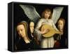 Angel Musician with Saints Agnes (D. 305), Fausta and Apollina (D. C. 248-9)-Gerard David-Framed Stretched Canvas