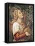 Angel Musician-Melozzo Da Forli-Framed Stretched Canvas