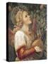 Angel Musician-Melozzo Da Forli-Stretched Canvas