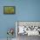 Angel Oak-Dennis Goodman-Framed Stretched Canvas displayed on a wall