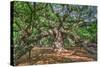 Angel Oak-Robert Goldwitz-Stretched Canvas