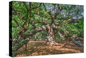 Angel Oak-Robert Goldwitz-Stretched Canvas