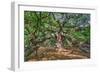 Angel Oak-Robert Goldwitz-Framed Photographic Print