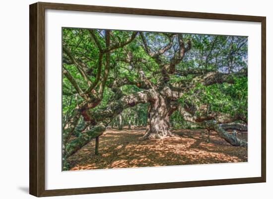 Angel Oak-Robert Goldwitz-Framed Photographic Print