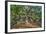 Angel Oak-Robert Goldwitz-Framed Photographic Print