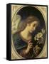 Angel of the Annunciation-Carlo Dolci-Framed Stretched Canvas