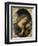 Angel of the Annunciation-Carlo Dolci-Framed Premium Giclee Print