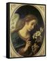 Angel of the Annunciation-Carlo Dolci-Framed Stretched Canvas