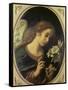 Angel of the Annunciation-Carlo Dolci-Framed Stretched Canvas