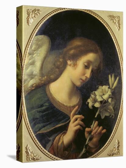 Angel of the Annunciation-Carlo Dolci-Stretched Canvas
