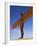 Angel of the North, Gateshead, Northumberland, England-Peter Adams-Framed Photographic Print