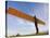 Angel of the North, Gateshead, Tyne and Wear, England, United Kingdom, Europe-Jean Brooks-Stretched Canvas