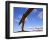 Angel of the North, Sculpture by Anthony Gormley, Newcastle-Upon-Tyne, Tyne and Wear, England-Neale Clarke-Framed Photographic Print