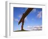 Angel of the North, Sculpture by Anthony Gormley, Newcastle-Upon-Tyne, Tyne and Wear, England-Neale Clarke-Framed Photographic Print