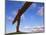 Angel of the North, Sculpture by Anthony Gormley, Newcastle-Upon-Tyne, Tyne and Wear, England-Neale Clarke-Mounted Photographic Print