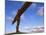 Angel of the North, Sculpture by Anthony Gormley, Newcastle-Upon-Tyne, Tyne and Wear, England-Neale Clarke-Mounted Photographic Print