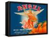 Angel Oranges-null-Framed Stretched Canvas