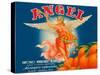 Angel Oranges-null-Stretched Canvas