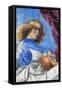 Angel Playing Lute-Melozzo Da Forli-Framed Stretched Canvas