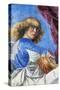 Angel Playing Lute-Melozzo Da Forli-Stretched Canvas