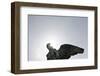 Angel's Wing, Statue, Copenhagen, Denmark, Scandinavia-Axel Schmies-Framed Photographic Print