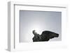 Angel's Wing, Statue, Copenhagen, Denmark, Scandinavia-Axel Schmies-Framed Photographic Print